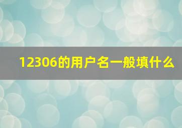 12306的用户名一般填什么