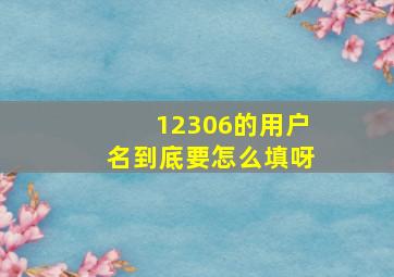 12306的用户名到底要怎么填呀