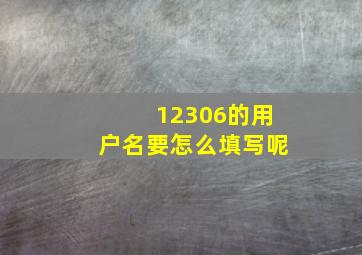 12306的用户名要怎么填写呢