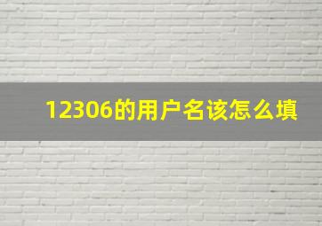 12306的用户名该怎么填