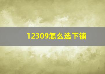 12309怎么选下铺