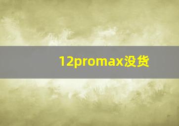 12promax没货