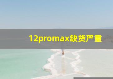 12promax缺货严重