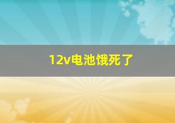 12v电池饿死了