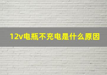 12v电瓶不充电是什么原因