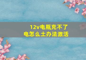 12v电瓶充不了电怎么土办法激活