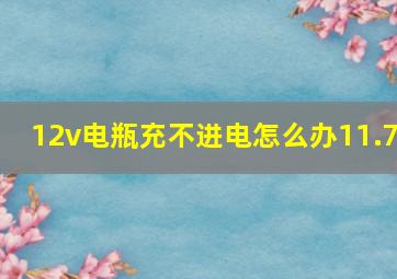 12v电瓶充不进电怎么办11.7