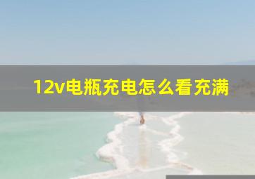 12v电瓶充电怎么看充满