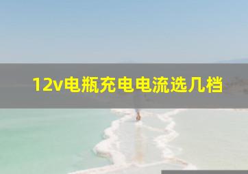 12v电瓶充电电流选几档