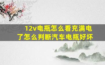 12v电瓶怎么看充满电了怎么判断汽车电瓶好坏