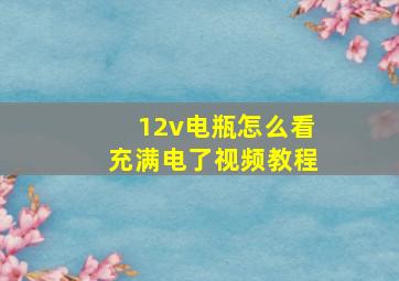 12v电瓶怎么看充满电了视频教程