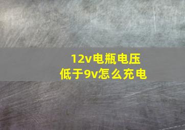 12v电瓶电压低于9v怎么充电