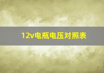 12v电瓶电压对照表