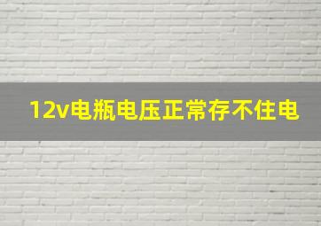 12v电瓶电压正常存不住电