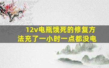 12v电瓶饿死的修复方法充了一小时一点都没电