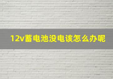 12v蓄电池没电该怎么办呢