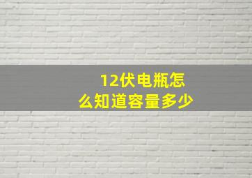 12伏电瓶怎么知道容量多少