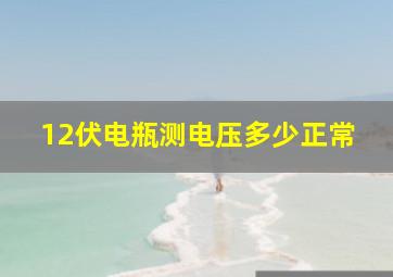 12伏电瓶测电压多少正常