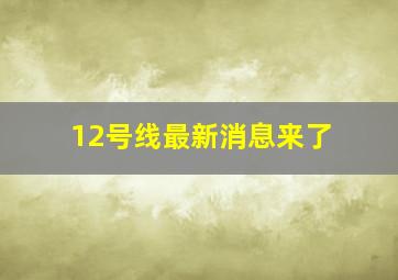 12号线最新消息来了