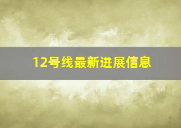 12号线最新进展信息