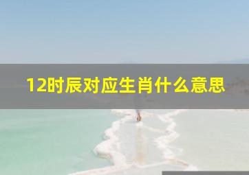 12时辰对应生肖什么意思