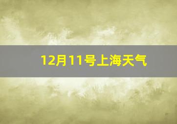 12月11号上海天气