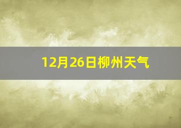 12月26日柳州天气