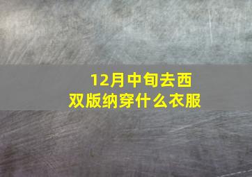 12月中旬去西双版纳穿什么衣服