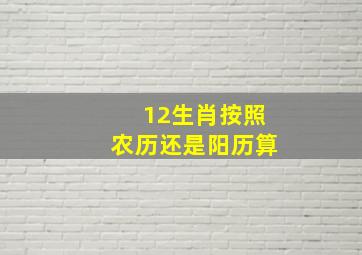 12生肖按照农历还是阳历算