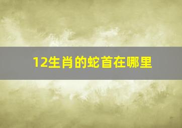 12生肖的蛇首在哪里