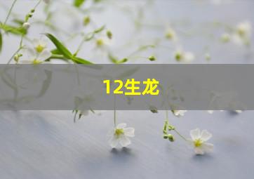 12生龙