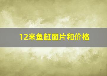 12米鱼缸图片和价格