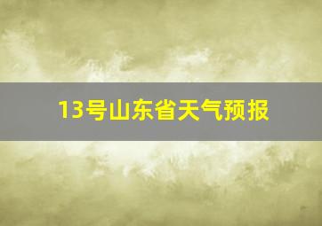 13号山东省天气预报