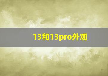 13和13pro外观