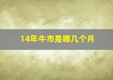 14年牛市是哪几个月