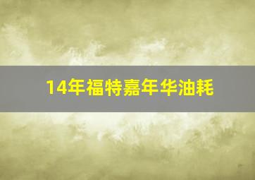 14年福特嘉年华油耗