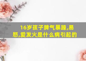 16岁孩子脾气暴躁,易怒,爱发火是什么病引起的