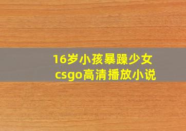 16岁小孩暴躁少女csgo高清播放小说