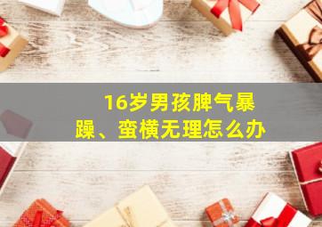 16岁男孩脾气暴躁、蛮横无理怎么办