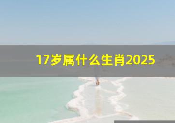 17岁属什么生肖2025