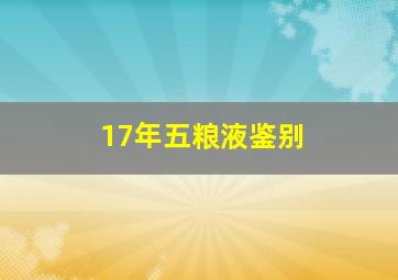 17年五粮液鉴别