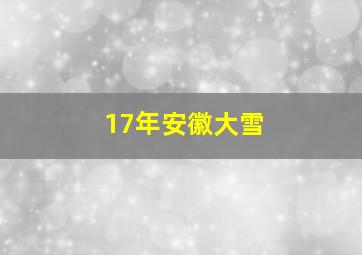 17年安徽大雪