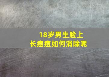 18岁男生脸上长痘痘如何消除呢