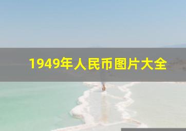 1949年人民币图片大全