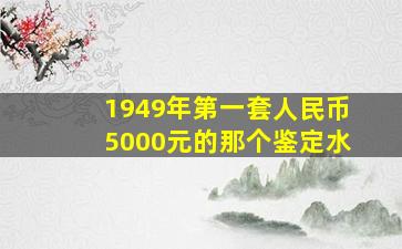 1949年第一套人民币5000元的那个鉴定水