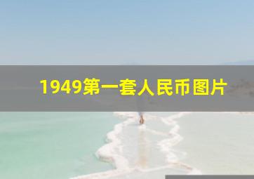 1949第一套人民币图片