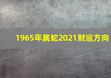 1965年属蛇2021财运方向