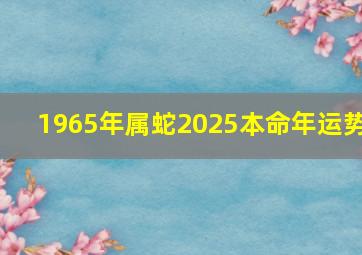 1965年属蛇2025本命年运势