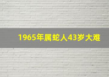 1965年属蛇人43岁大难