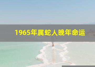 1965年属蛇人晚年命运